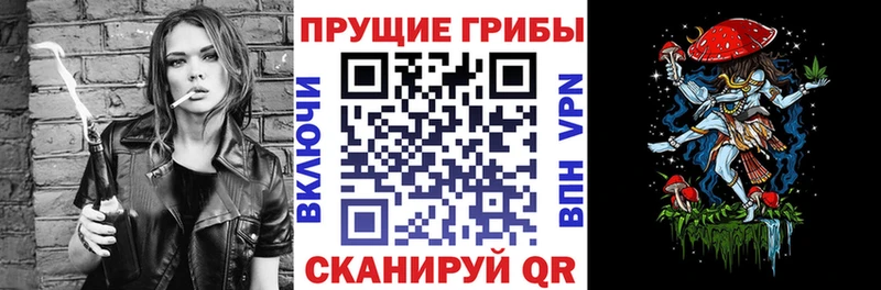 кракен tor Крымск Галлюциногенные грибы ЛСД