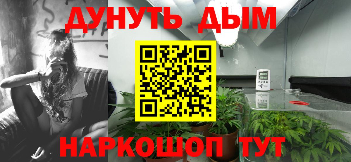 Крымск  Конопля план  Бошки Шишки конопля  МАРИХУАНА MAZAR  Вход с VPN 